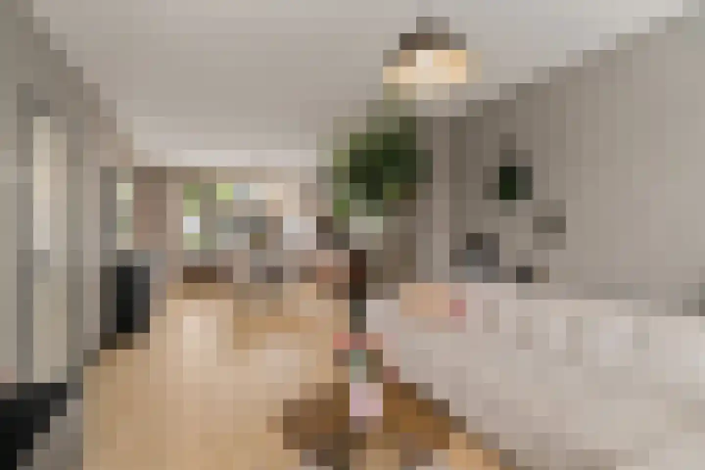 Geelkruid 73 Rotterdam thumbnail 7
