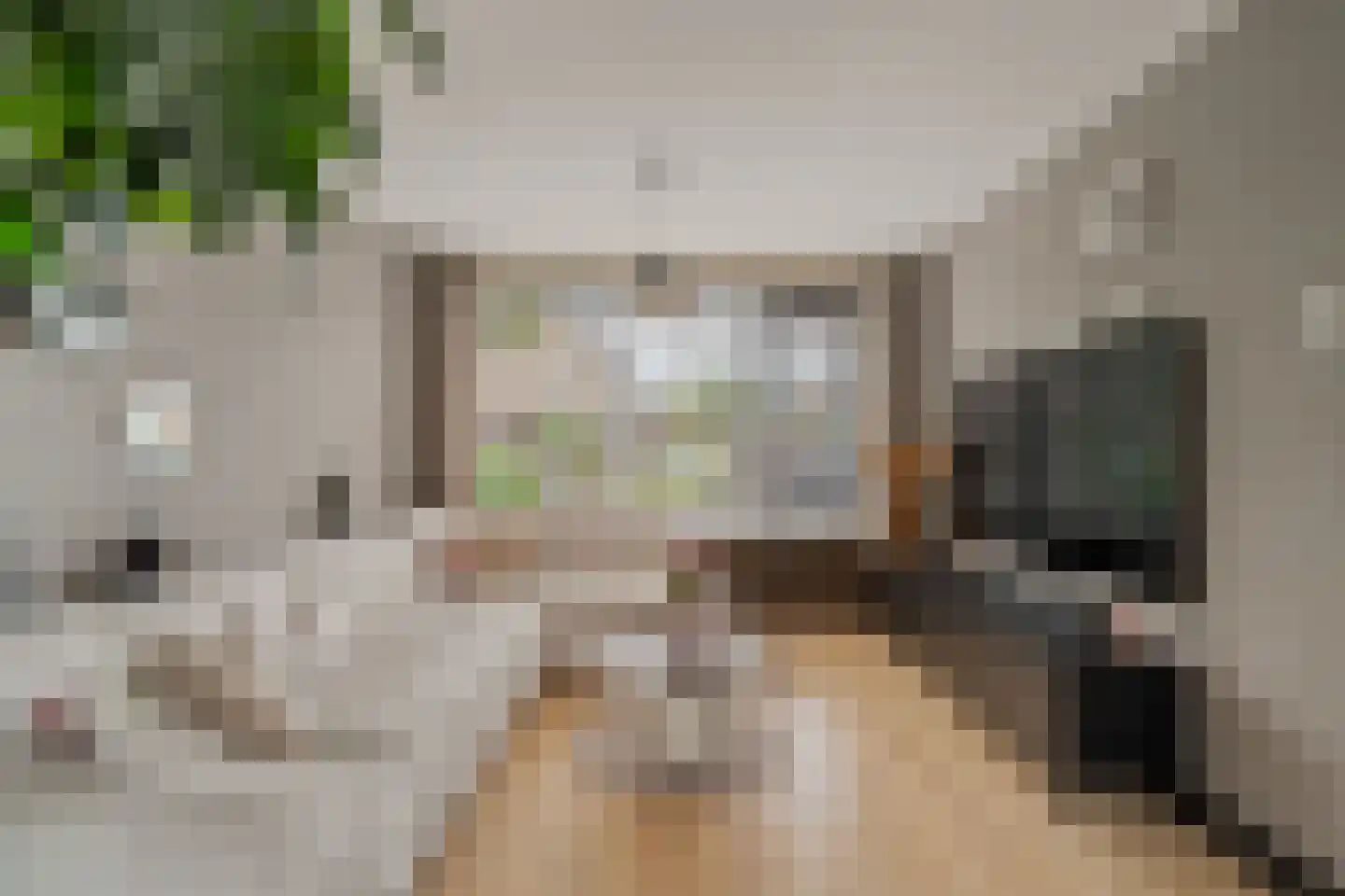 Geelkruid 73 Rotterdam thumbnail 8