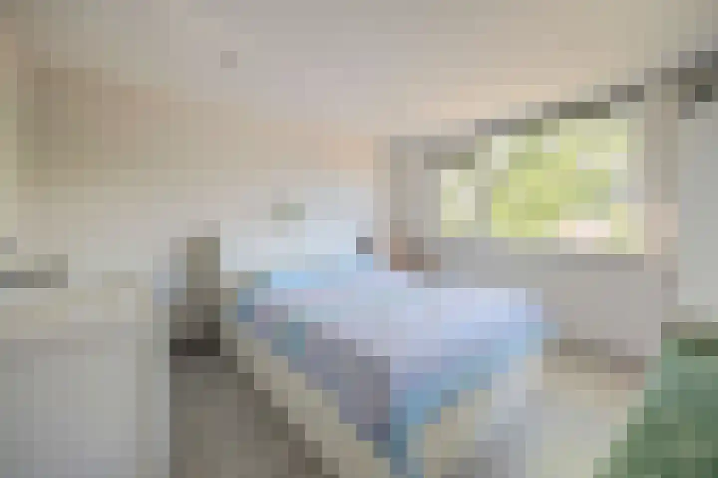 Geelkruid 83 Rotterdam thumbnail 14
