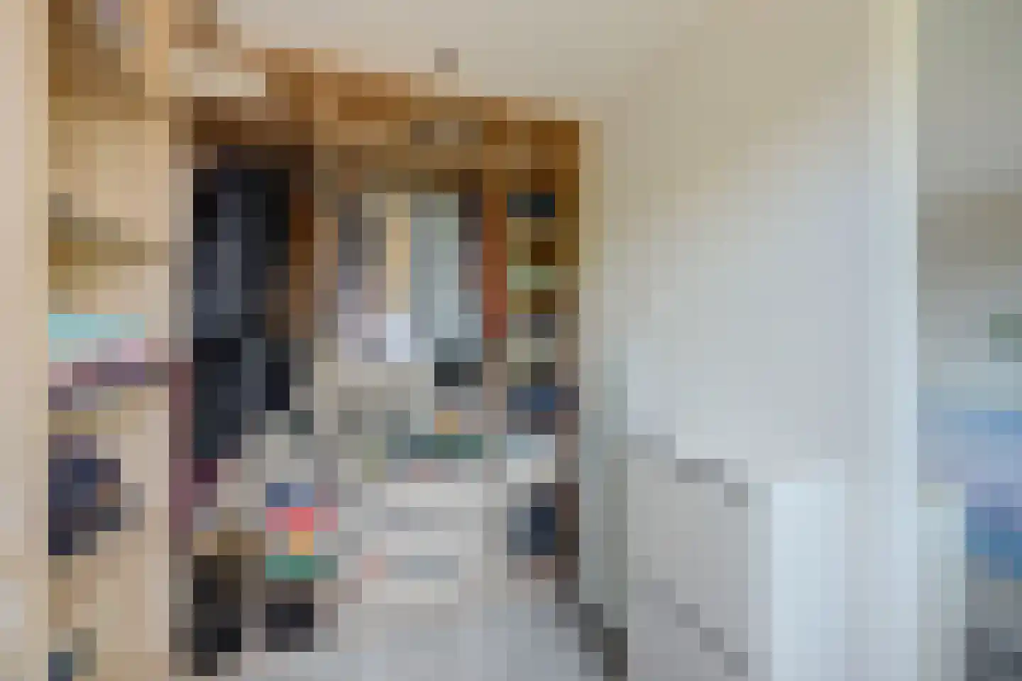 Geelkruid 83 Rotterdam thumbnail 17