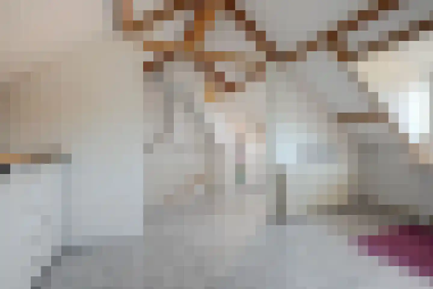 Geelkruid 83 Rotterdam thumbnail 30
