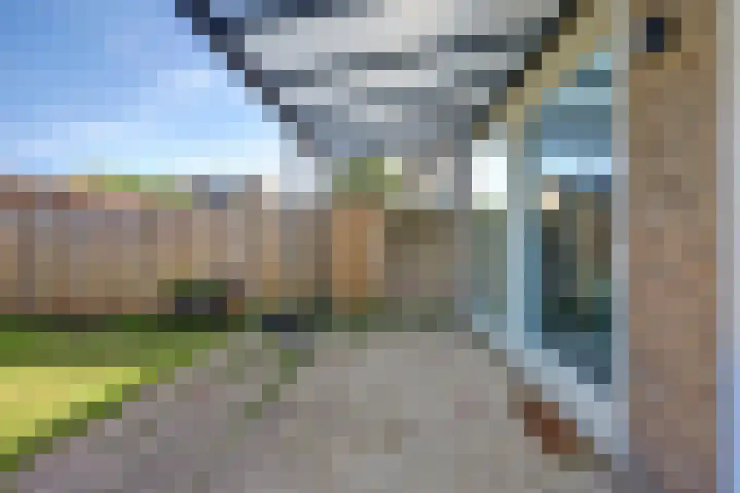 Geelkruid 83 Rotterdam thumbnail 34