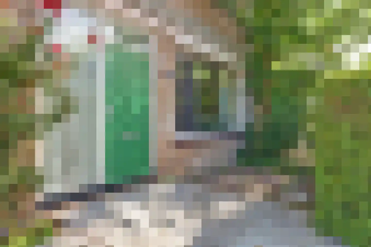 Geelkruid 83 Rotterdam thumbnail 44