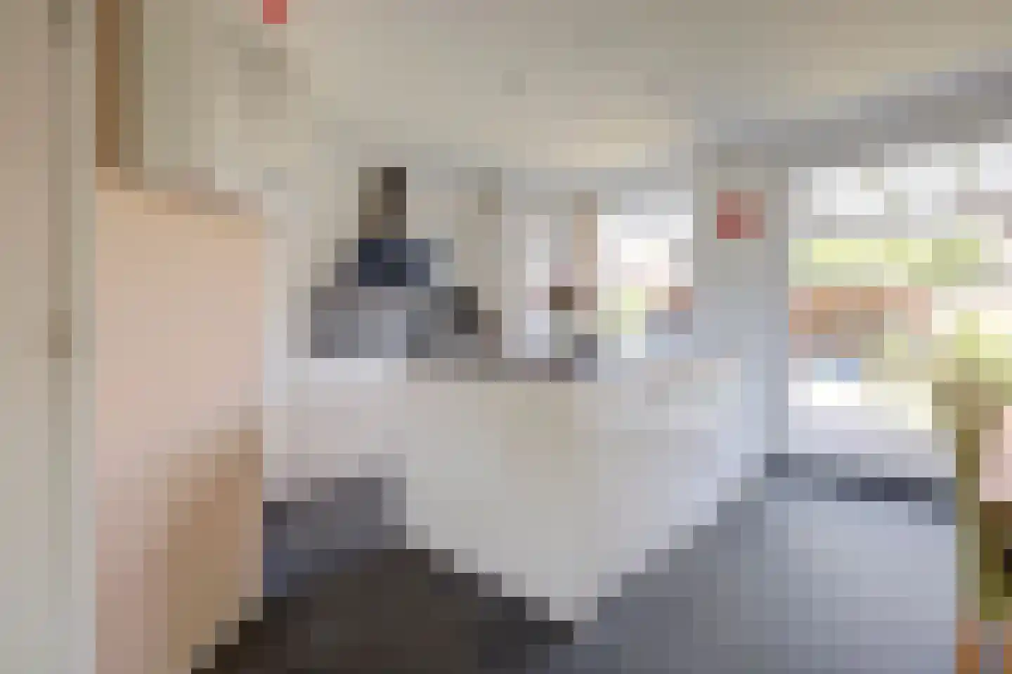 Geelkruid 83 Rotterdam thumbnail 8