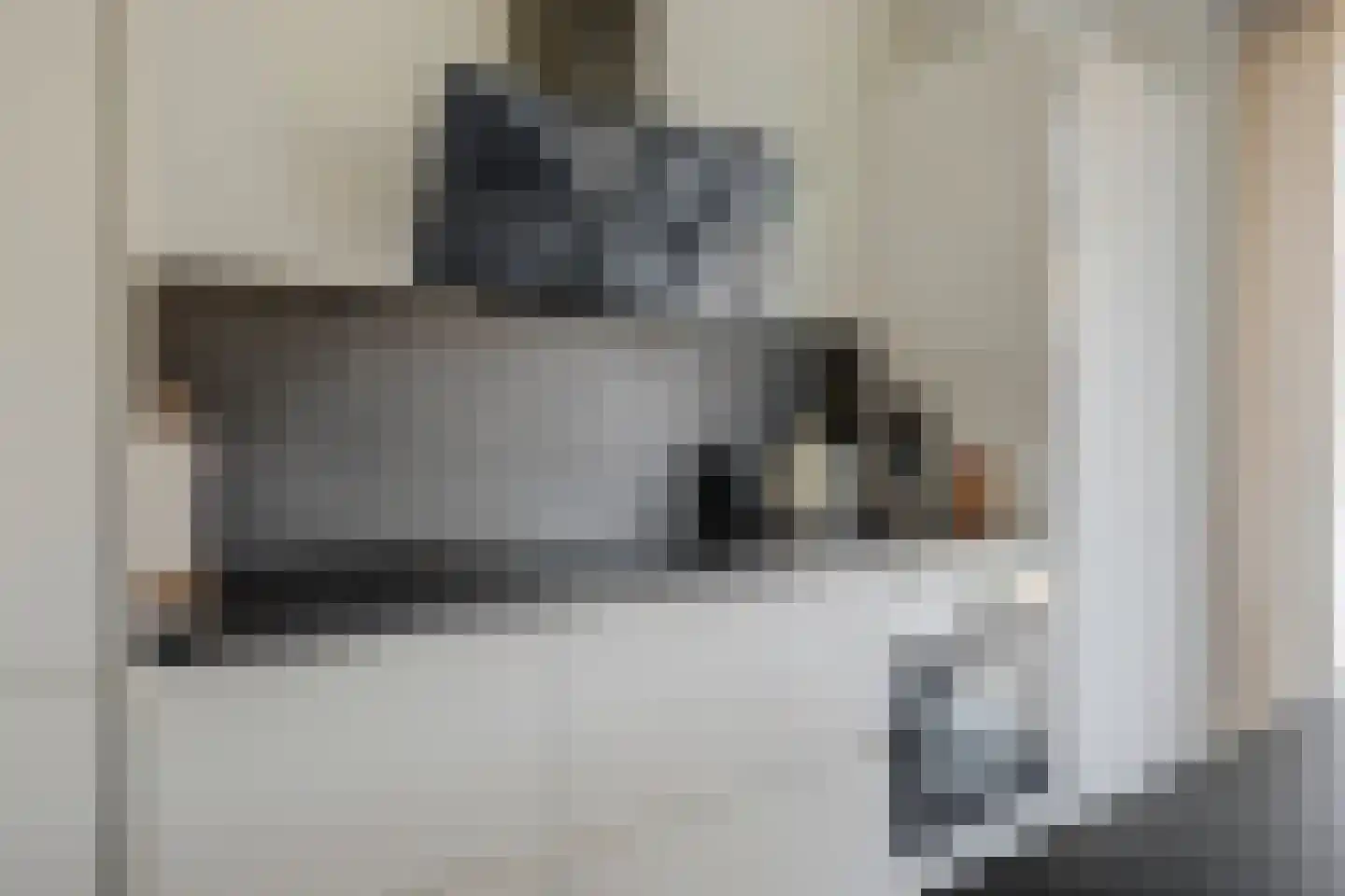 Geelkruid 83 Rotterdam thumbnail 9