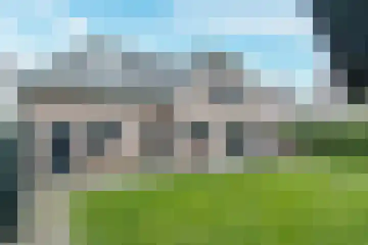 Geelrijs 23 Ammerzoden thumbnail 47