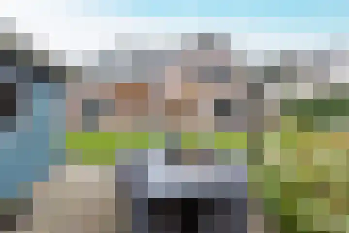 Geelrijs 23 Ammerzoden thumbnail 49