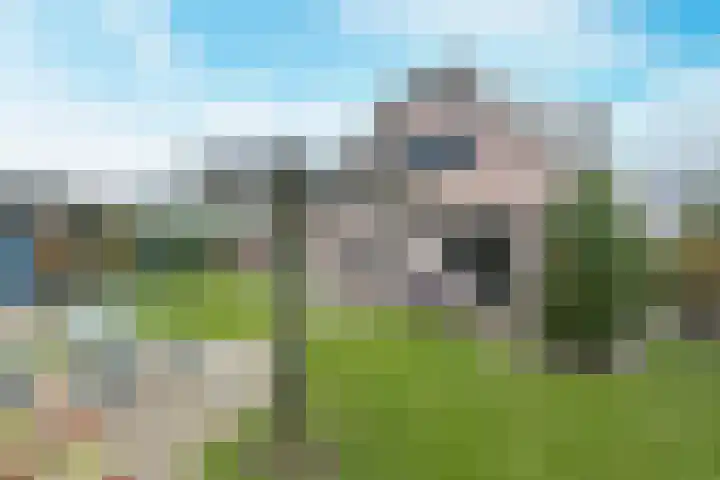 Geelrijs 23 Ammerzoden thumbnail 51