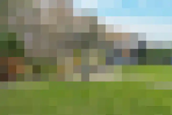 Geelrijs 23 Ammerzoden thumbnail 52