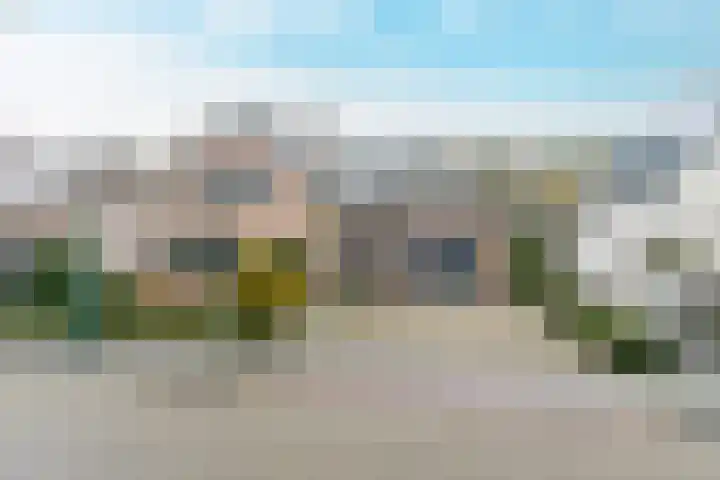 Geelrijs 23 Ammerzoden thumbnail 57