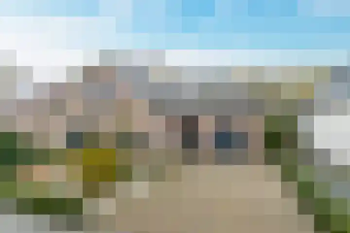 Geelrijs 23 Ammerzoden thumbnail 59