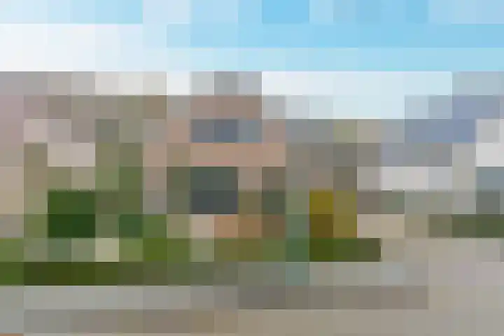 Geelrijs 23 Ammerzoden thumbnail 6