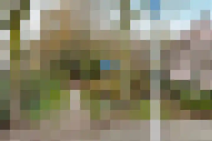 Geelrijs 23 Ammerzoden thumbnail 64