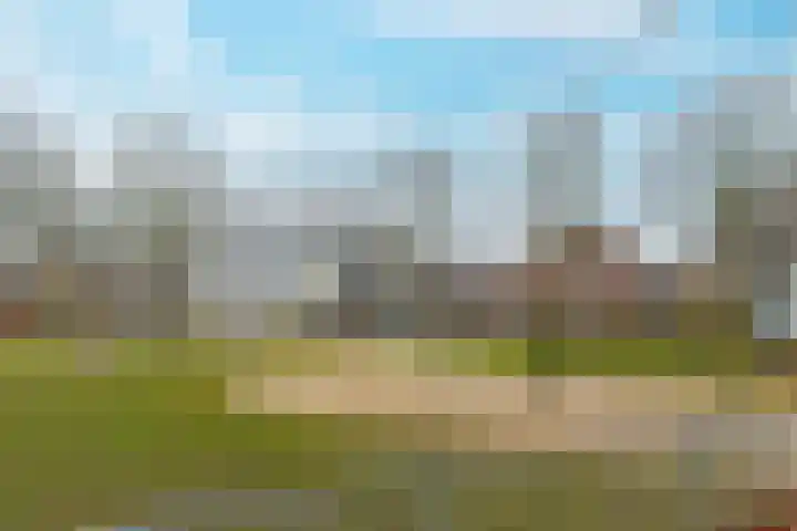 Geelrijs 23 Ammerzoden thumbnail 66