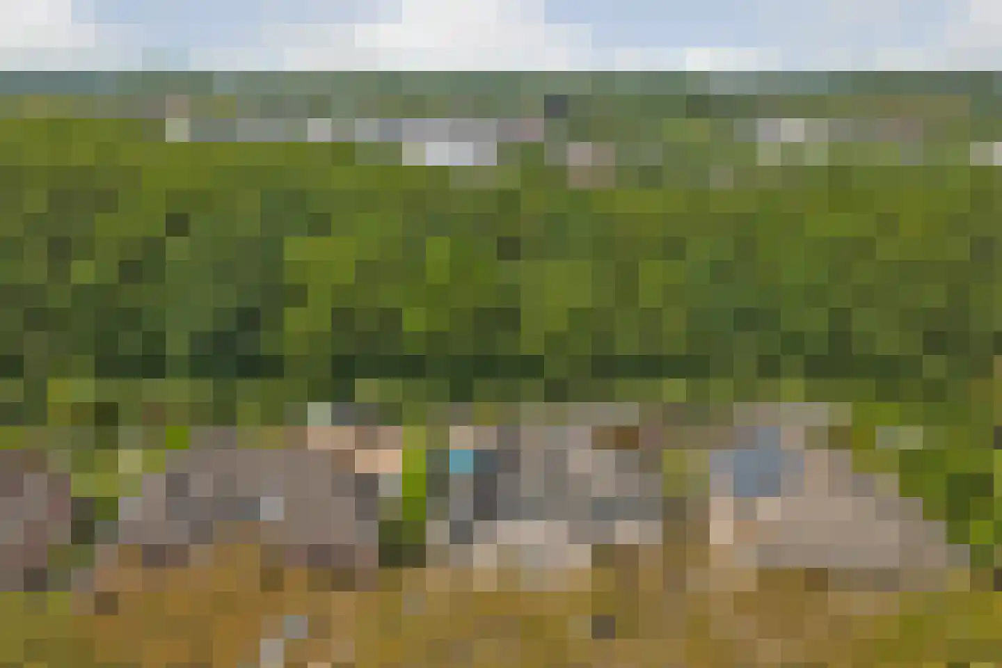Geelrijs 25 Ammerzoden thumbnail 62