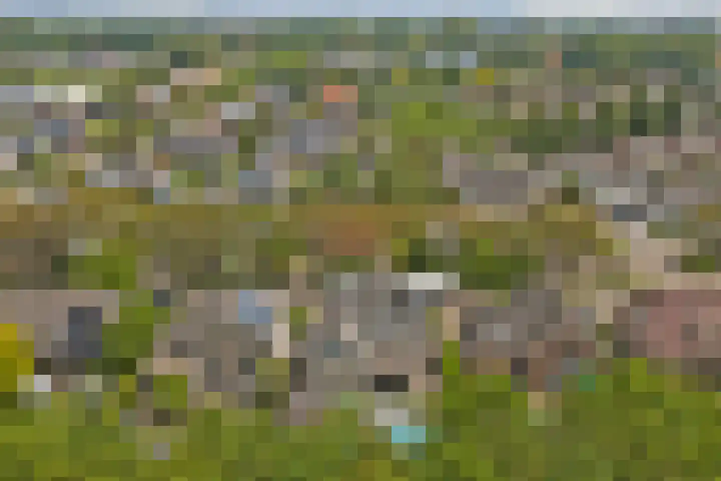 Geelrijs 25 Ammerzoden thumbnail 63