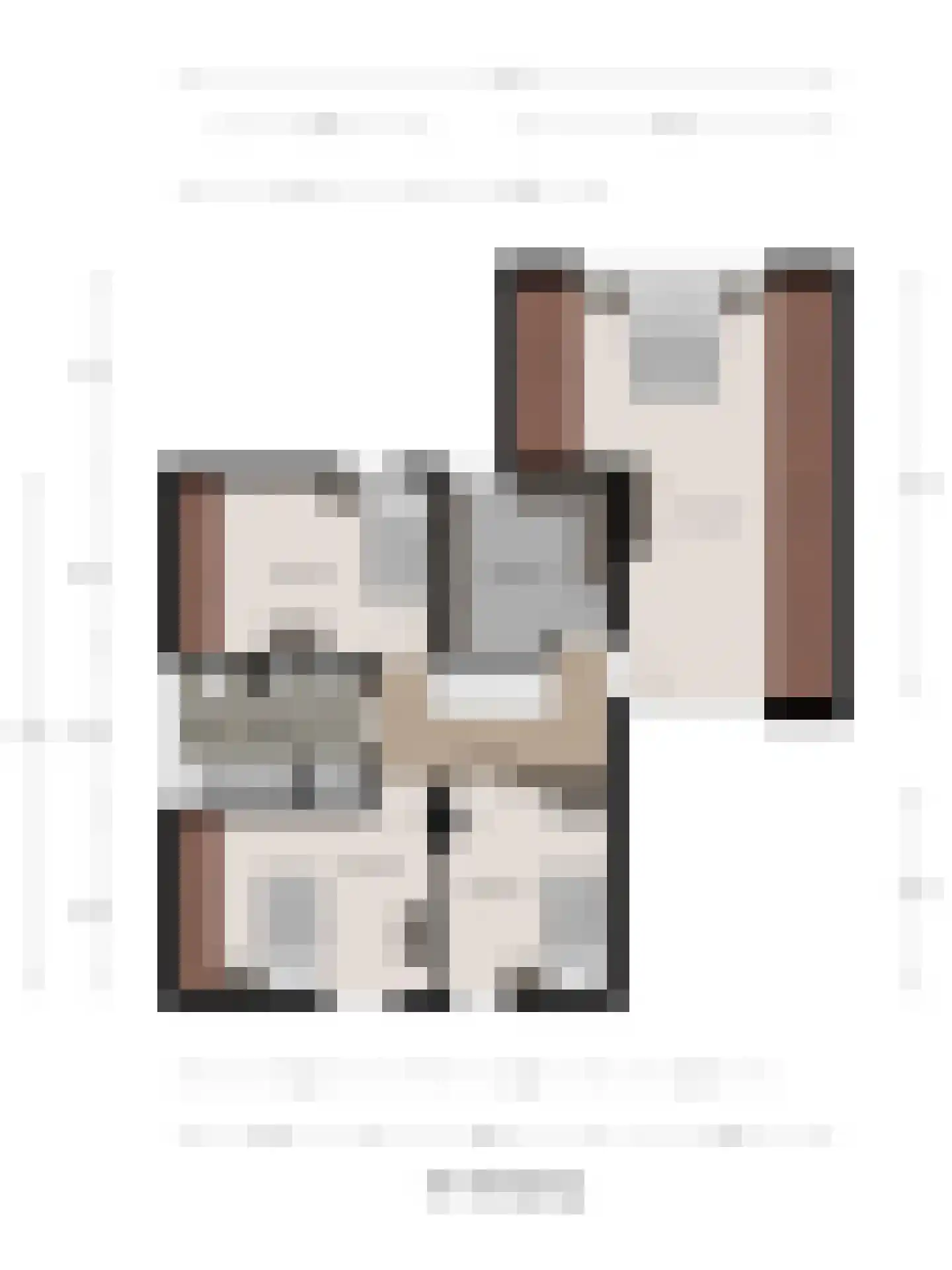 Geelrijs 25 Ammerzoden thumbnail 64