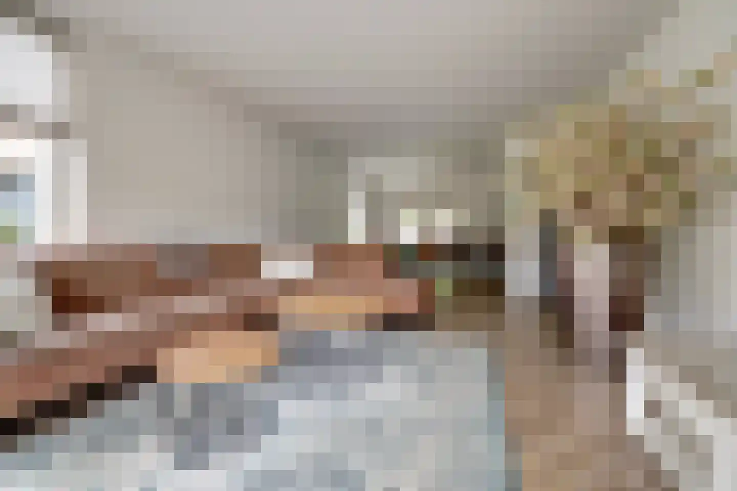 Geelrijs 25 Ammerzoden thumbnail 8