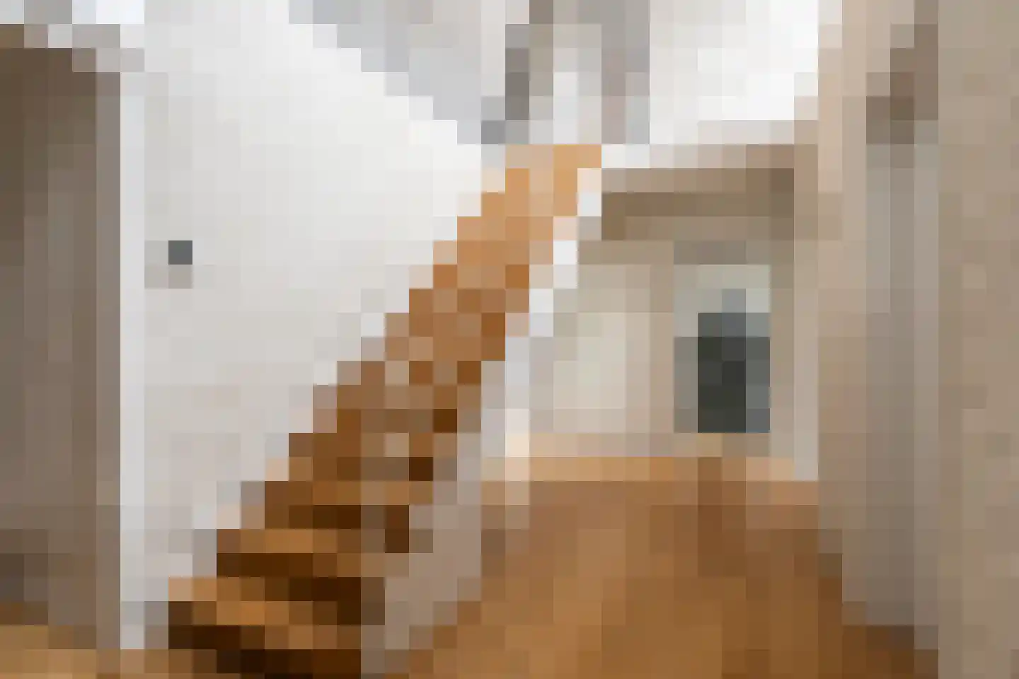 Geelsebaan 32 Rasquert thumbnail 14