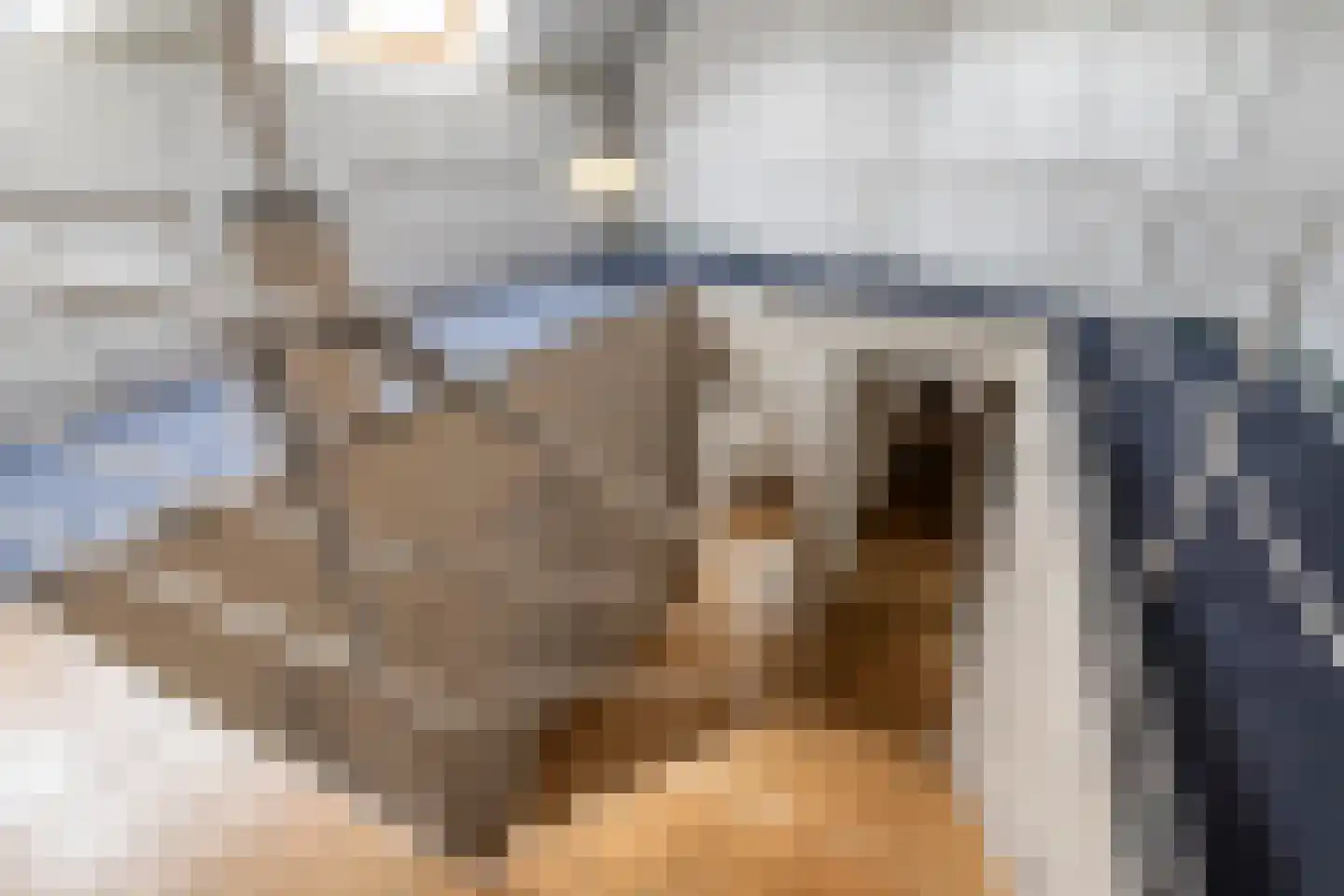 Geelsebaan 32 Rasquert thumbnail 17