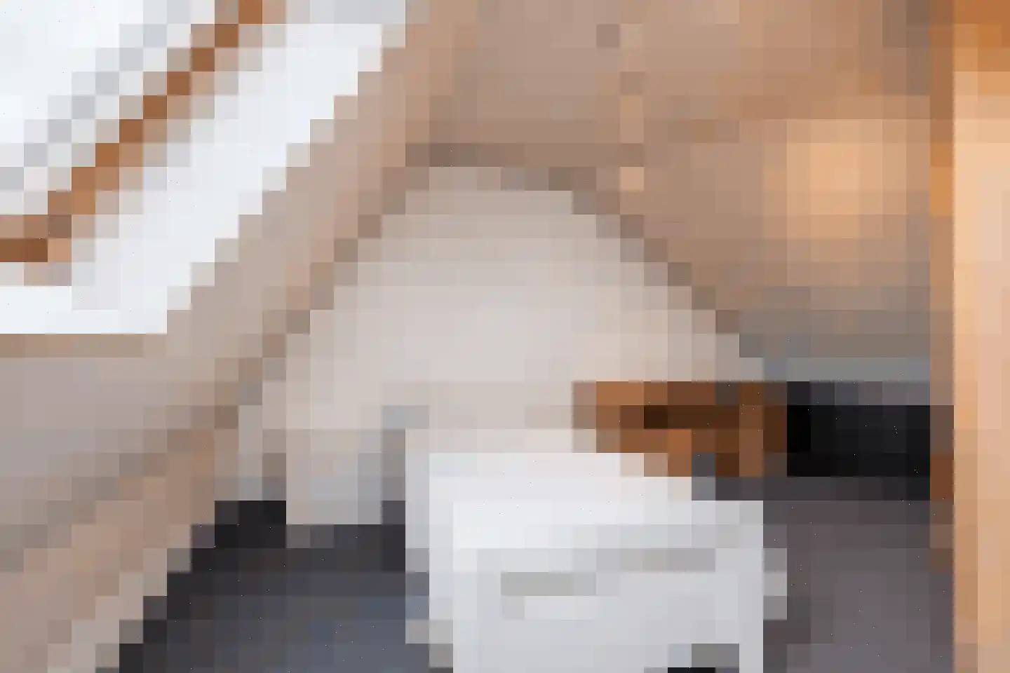 Geelsebaan 32 Rasquert thumbnail 18
