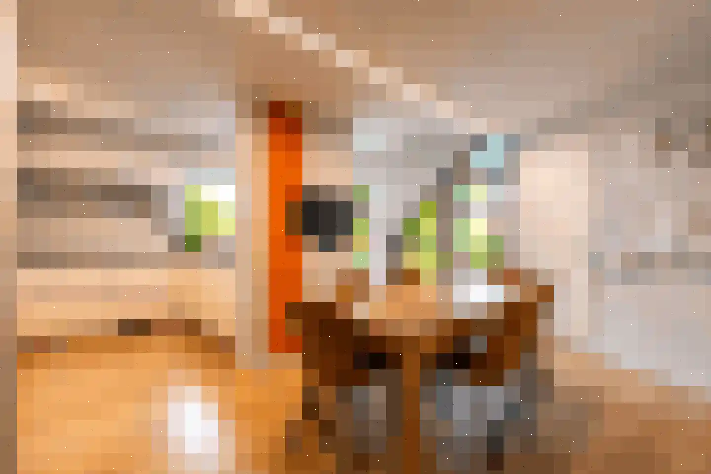 Geelsebaan 32 Rasquert thumbnail 5