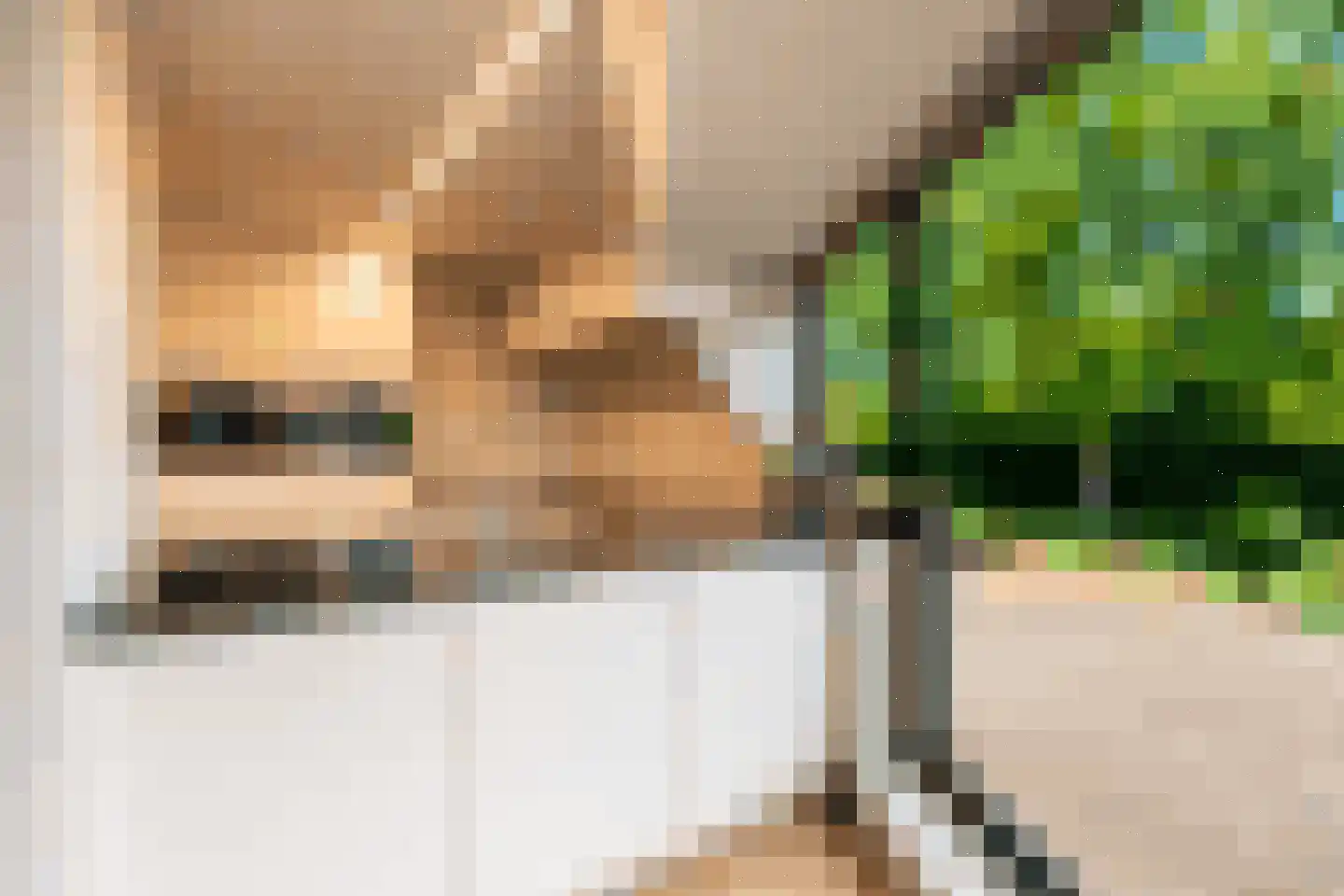 Geelsebaan 32 Rasquert thumbnail 7