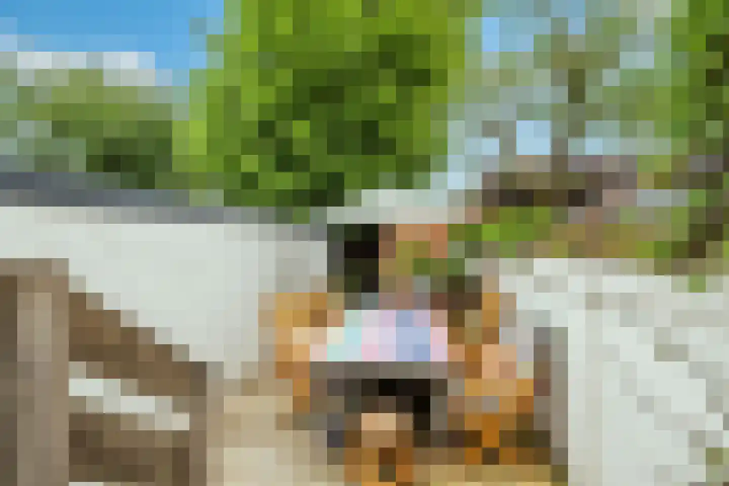 Geelsebaan 7 Schagen thumbnail 24