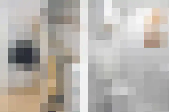 Geelsterlaan 16 Peize thumbnail 11