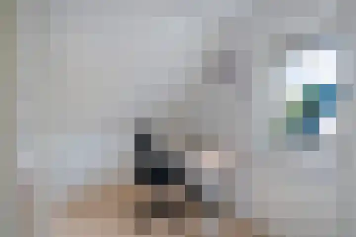 Geelsterlaan 16 Peize thumbnail 26