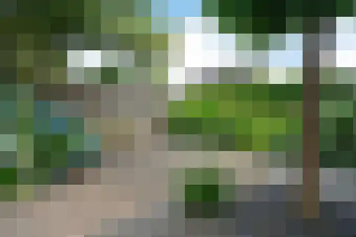 Geelsterlaan 16 Peize thumbnail 35