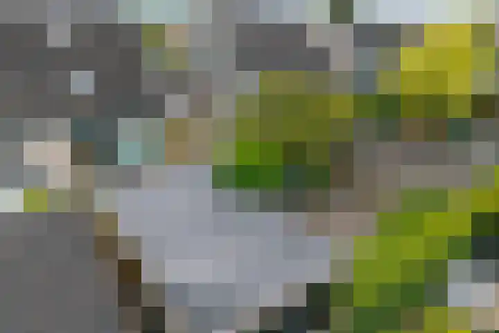 Geelsterlaan 16 Peize thumbnail 38
