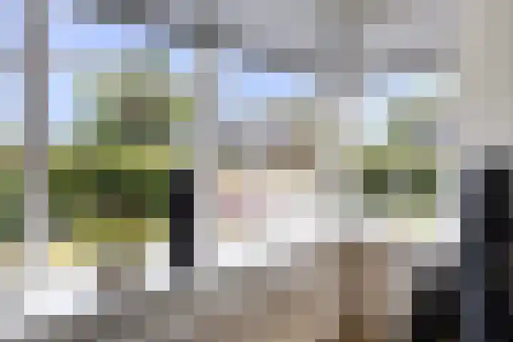 Geelsterlaan 40 Peize thumbnail 13