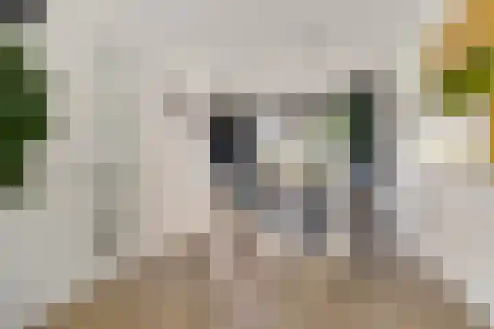 Geelsterlaan 40 Peize thumbnail 15