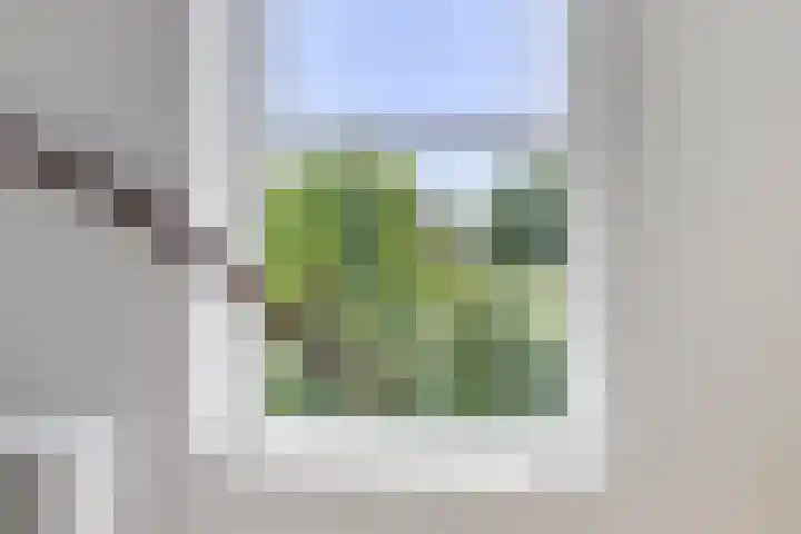 Geelsterlaan 40 Peize thumbnail 36