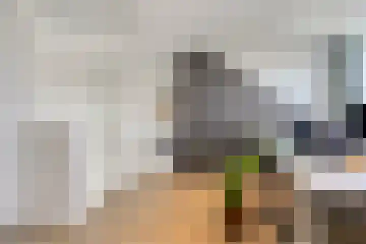 Geelsterlaan 40 Peize thumbnail 39