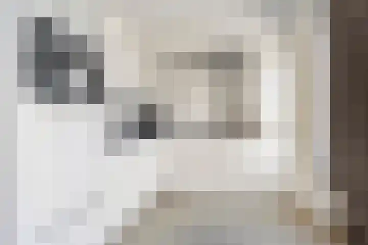 Geelsterlaan 40 Peize thumbnail 4