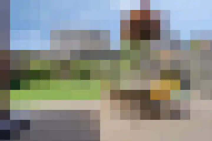 Geelsterlaan 40 Peize thumbnail 40