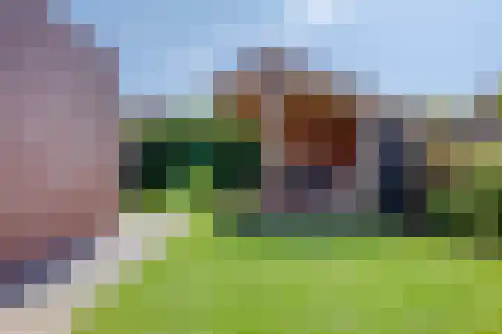 Geelsterlaan 40 Peize thumbnail 41