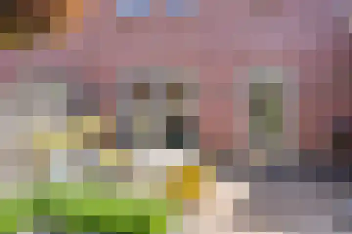 Geelsterlaan 40 Peize thumbnail 42