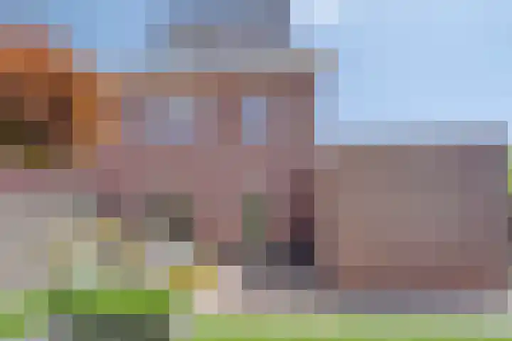 Geelsterlaan 40 Peize thumbnail 43