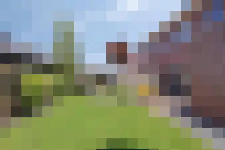 Geelsterlaan 40 Peize thumbnail 46