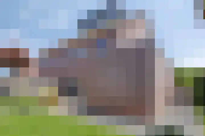 Geelsterlaan 40 Peize thumbnail 47