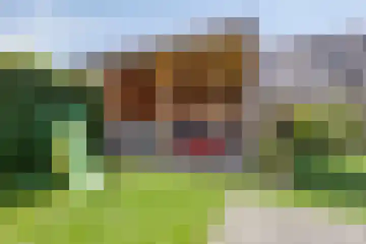 Geelsterlaan 40 Peize thumbnail 48