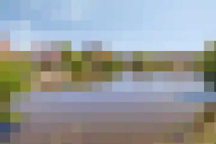 Geelsterlaan 40 Peize thumbnail 49