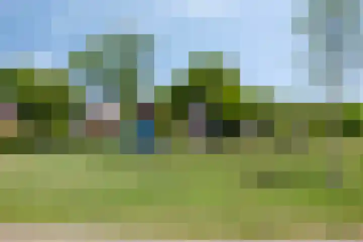 Geelsterlaan 40 Peize thumbnail 50