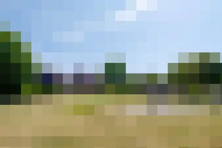 Geelsterlaan 40 Peize thumbnail 51