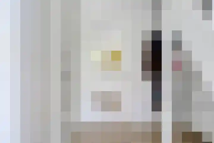Geelsterlaan 40 Peize thumbnail 8
