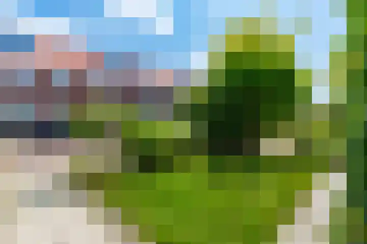 Geelvinckstraat 10 Velsen-Noord thumbnail 25