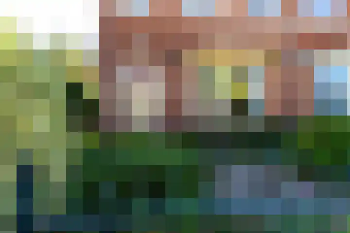 Geelvinckstraat 21 Castricum thumbnail 6